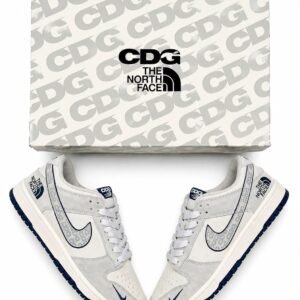 Nike Dunk Low x CDG x The North Face