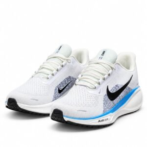 Nike Air Zoom Pegasus 41
